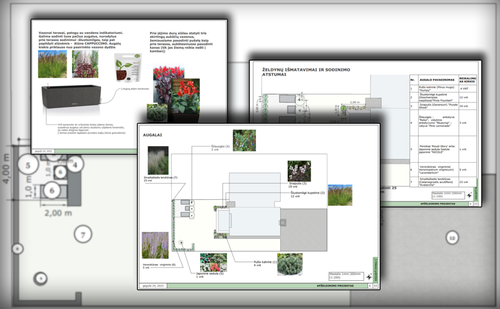 Dendrologinis planas